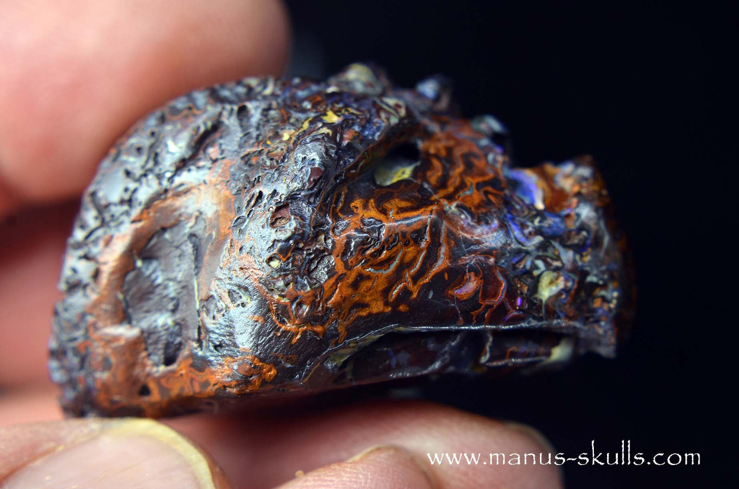 Yowah Nut Opal Dragon