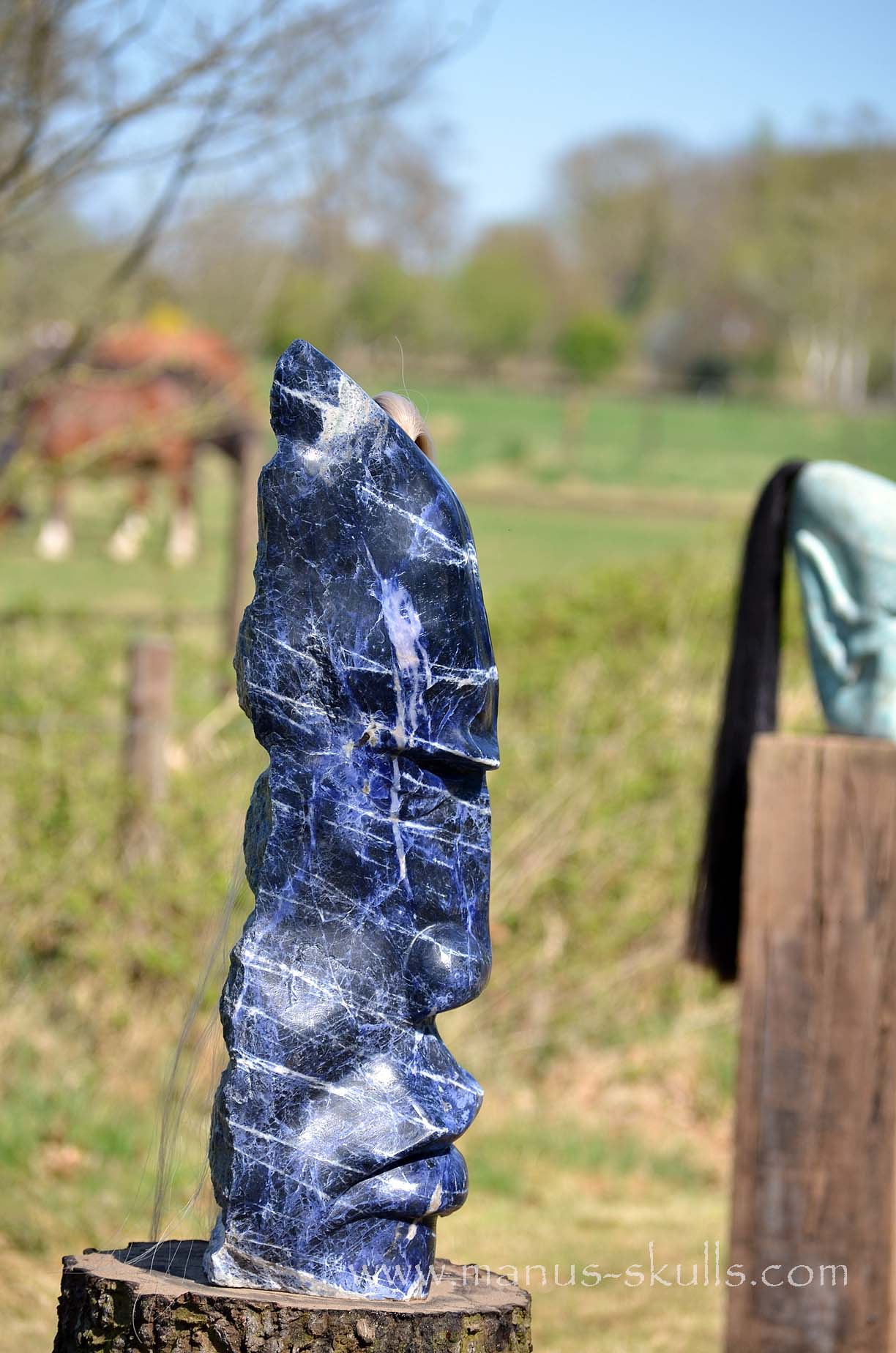 Sodalite Tribe Statue #001