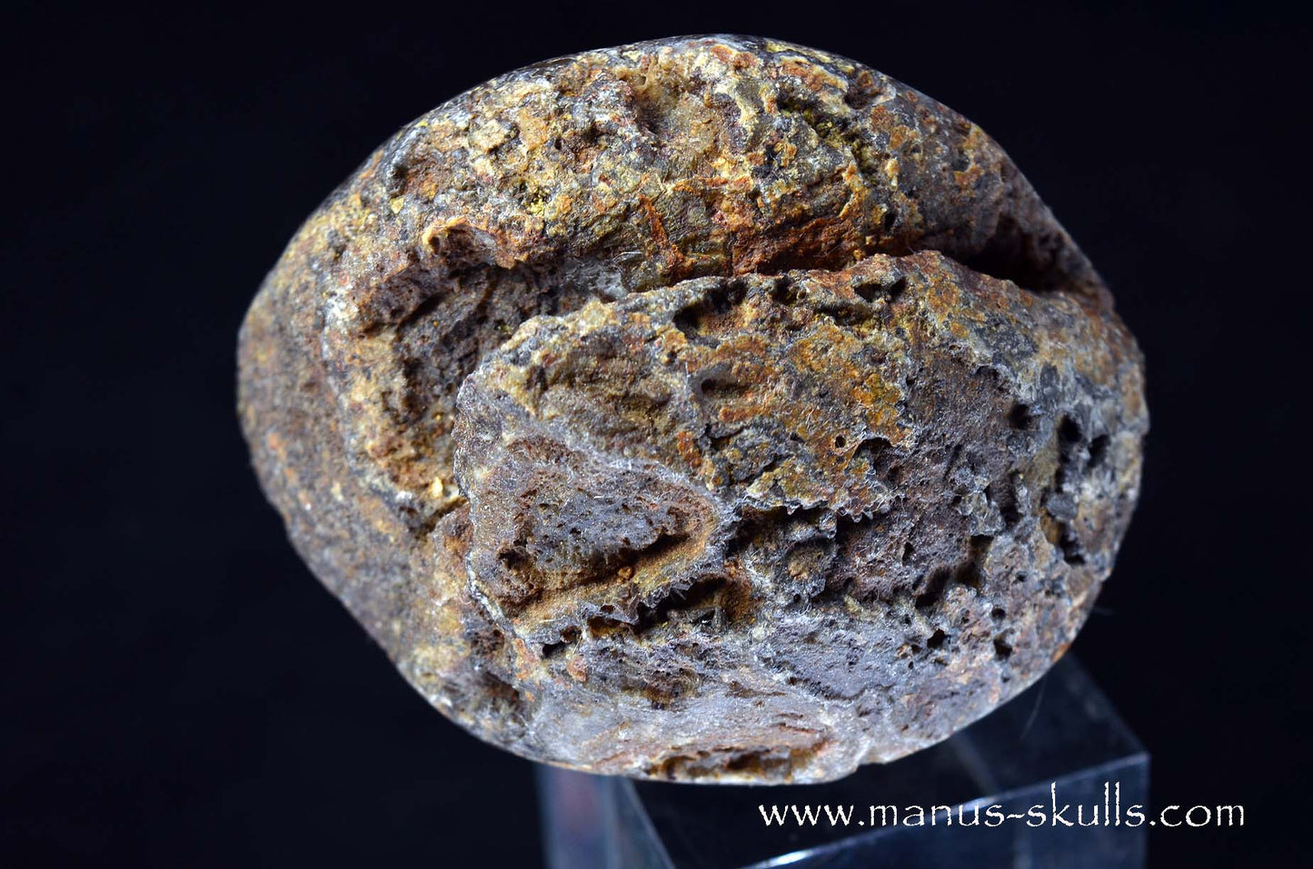 Agate Geode Evolian #09