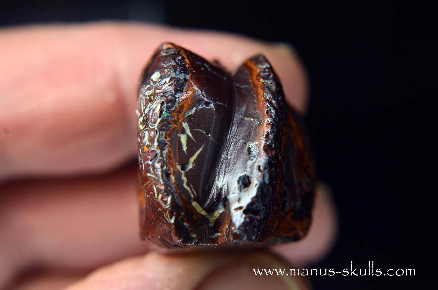 Yowah Nut Opal Dragon