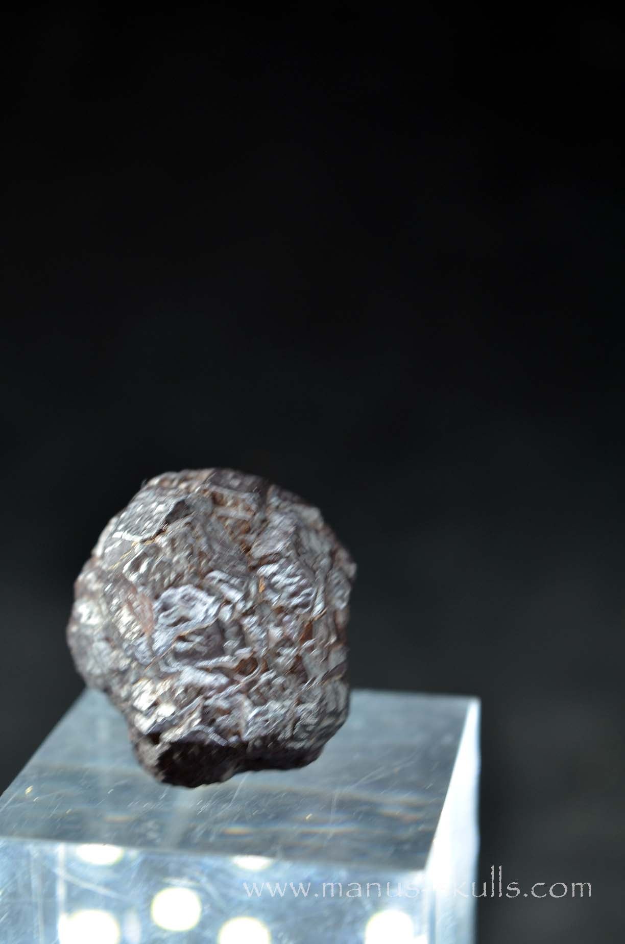 Prophecy Stone Evolian #03