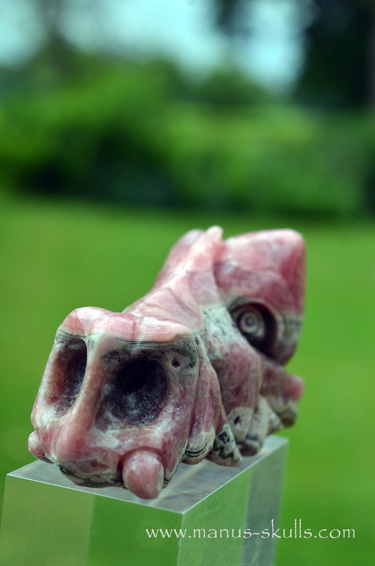 Rhodochrosite Dragon