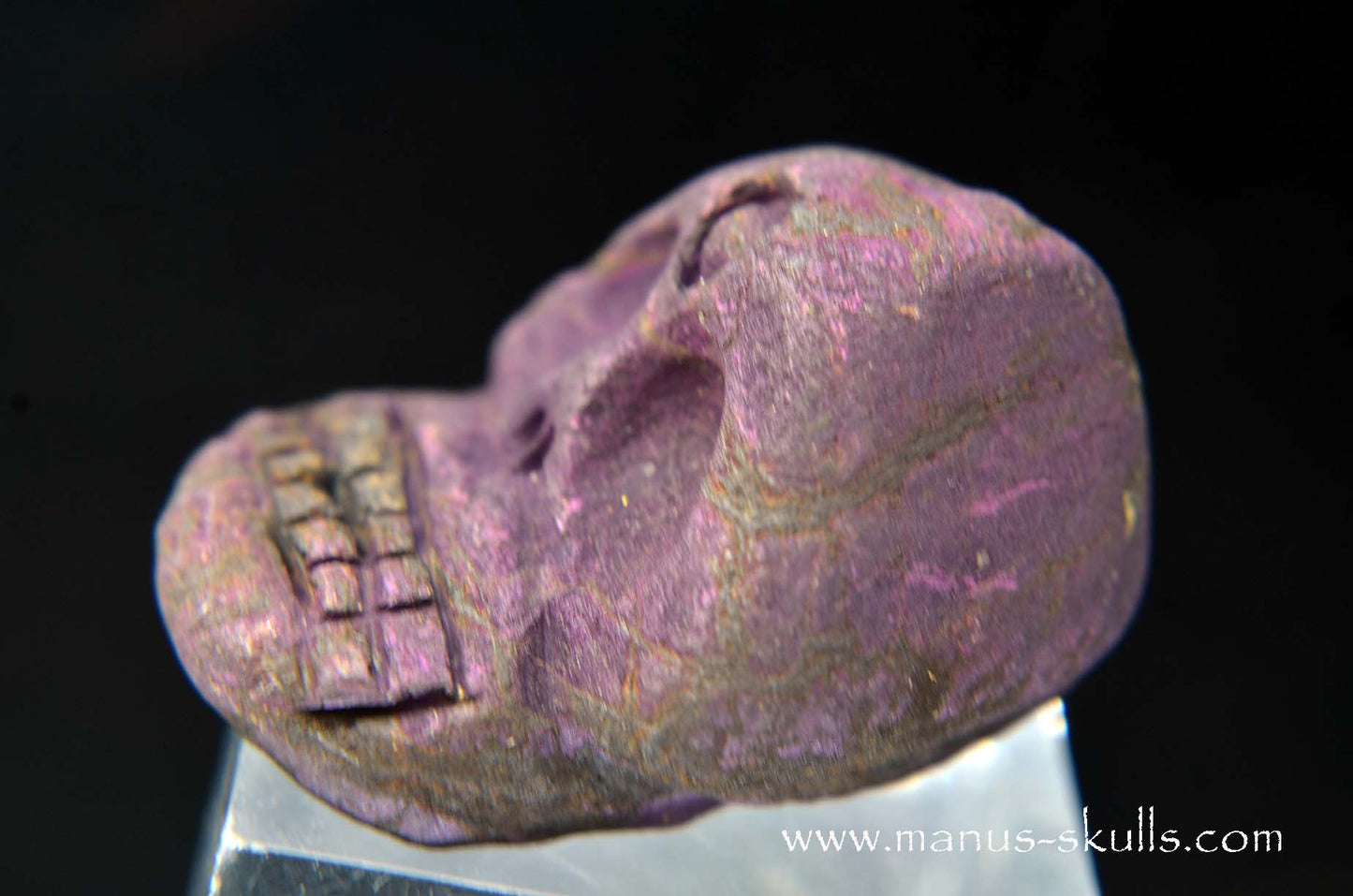 Purpurite Evolian #05