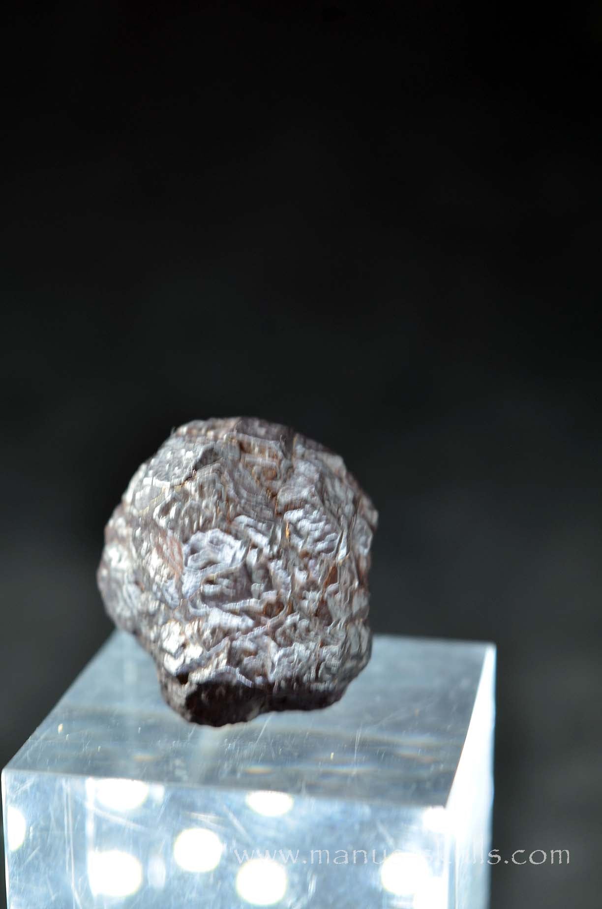 Prophecy Stone Evolian #03