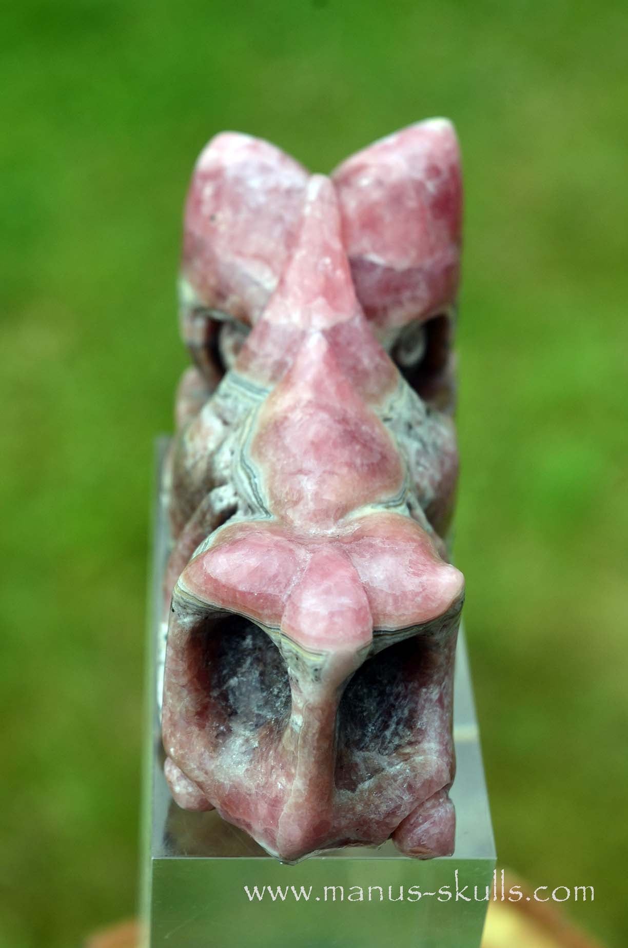 Rhodochrosite Dragon