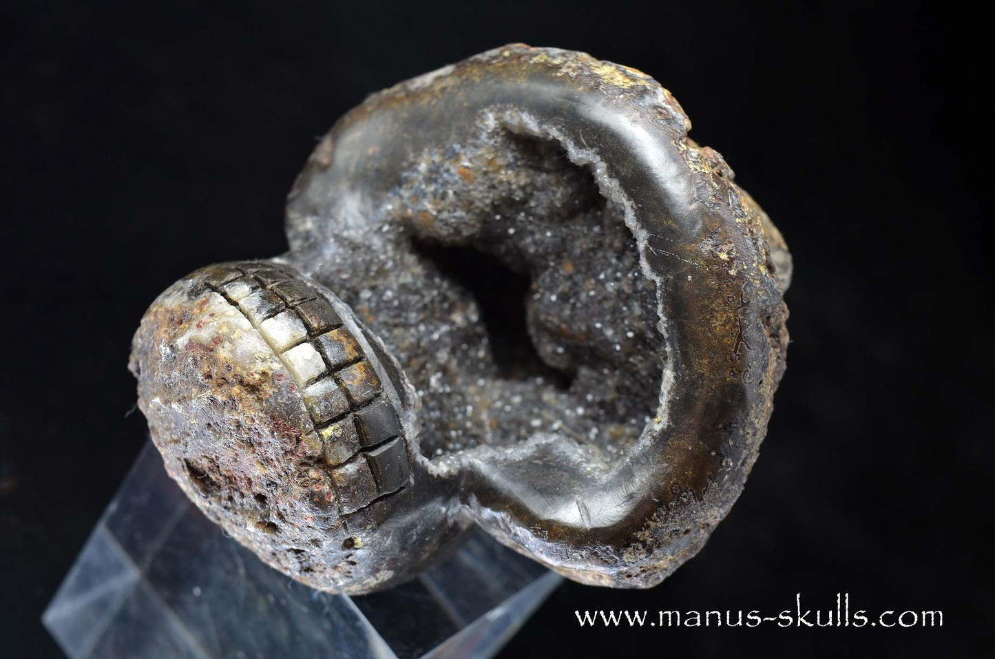 Agate Geode Evolian #09