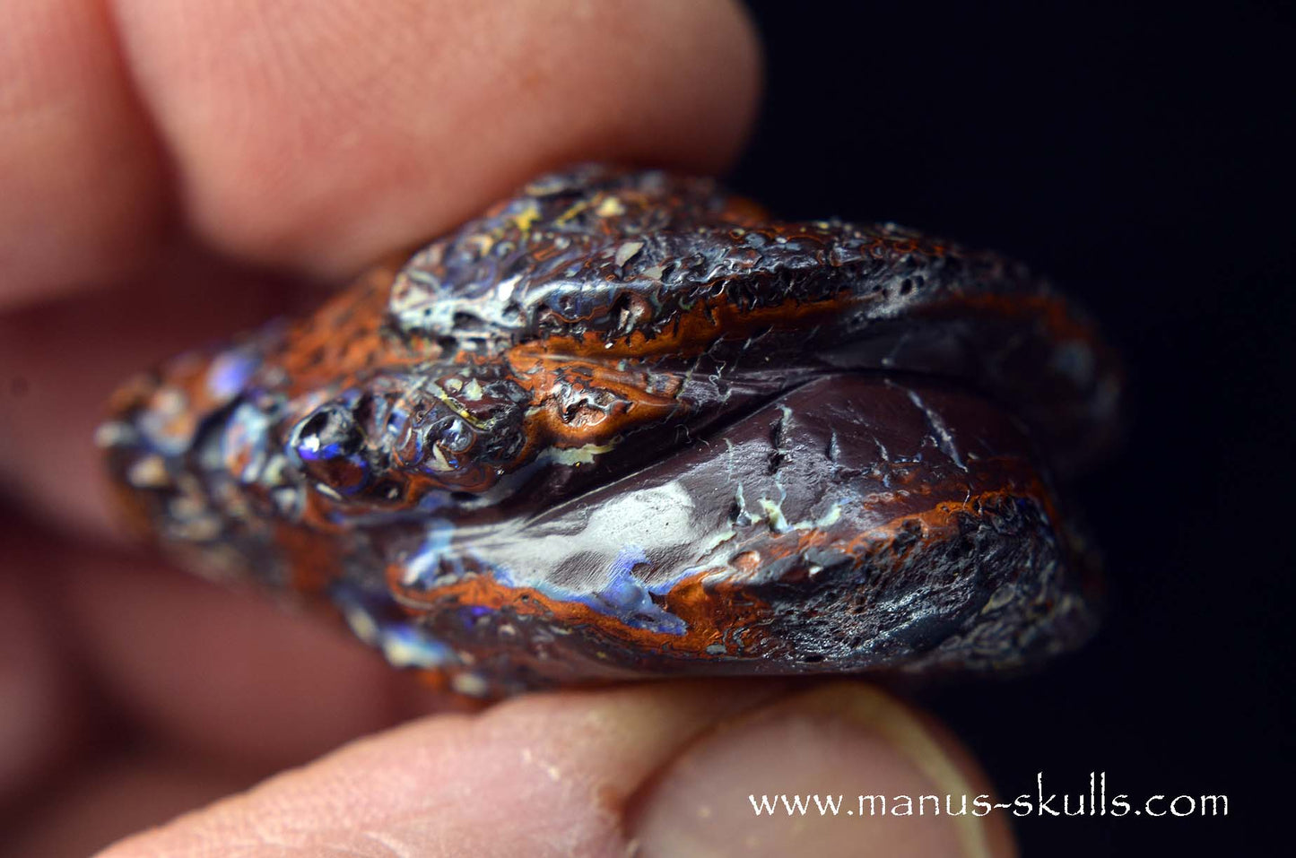 Yowah Nut Opal Dragon