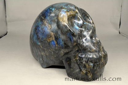 Large Labradorite Skull (9,3 KG)