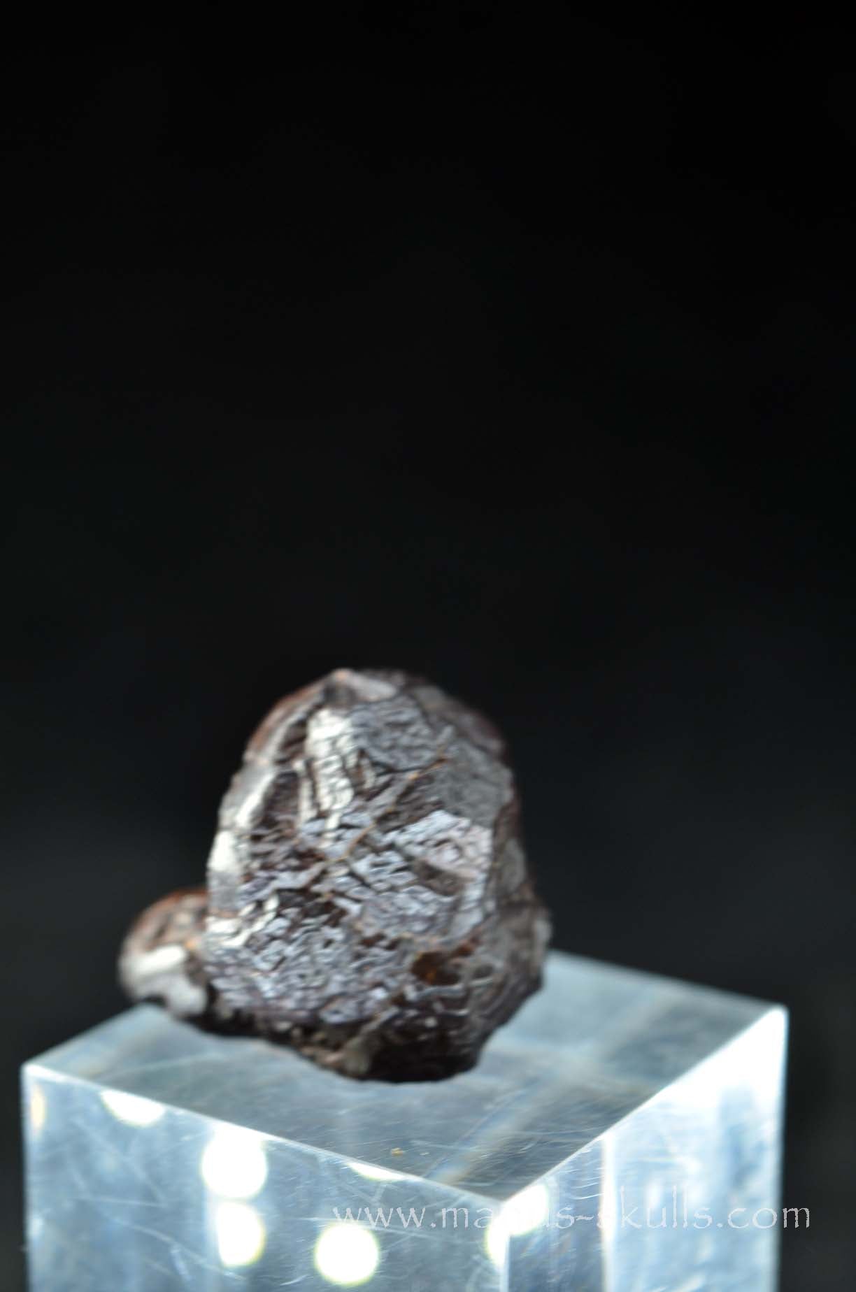 Prophecy Stone Evolian #03