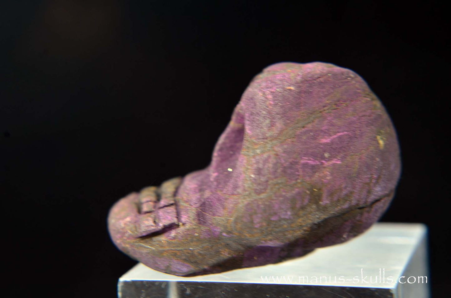 Purpurite Evolian #05