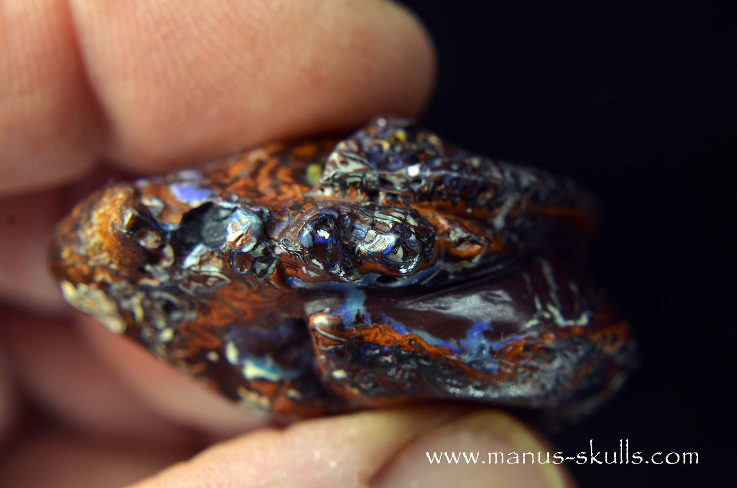 Yowah Nut Opal Dragon