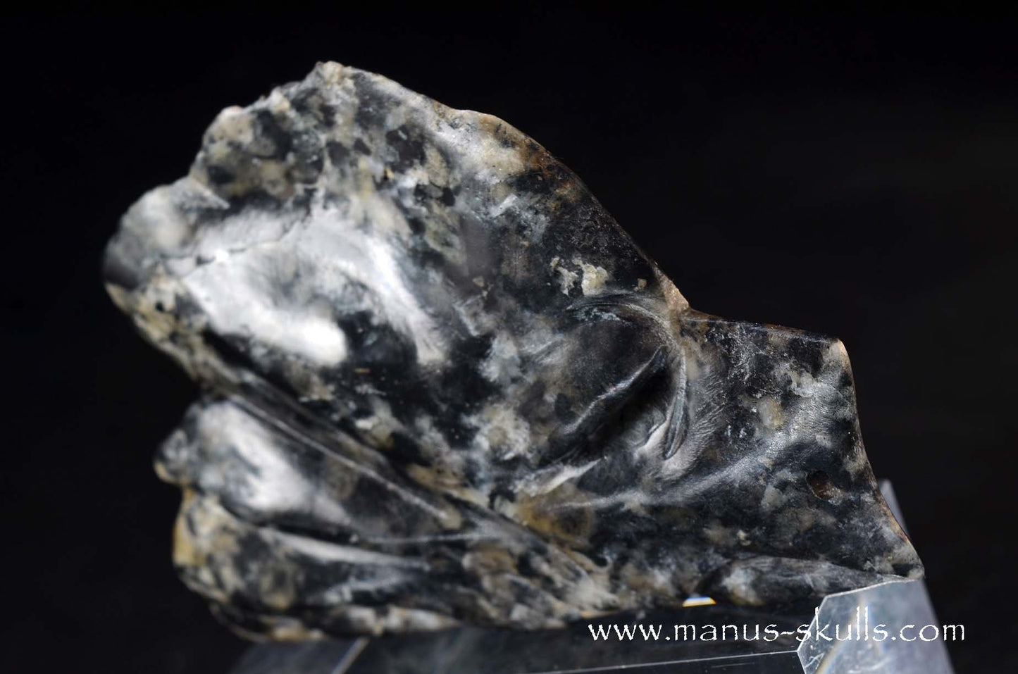Rare Greenland Sodalite ~ Hackmanite Dragon