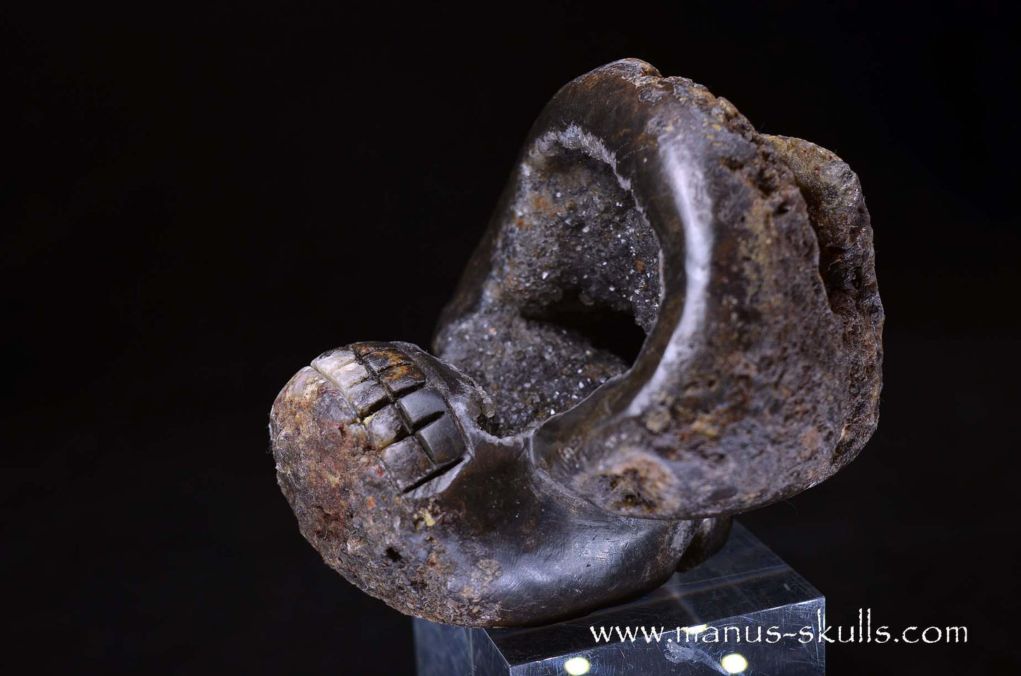 Agate Geode Evolian #09