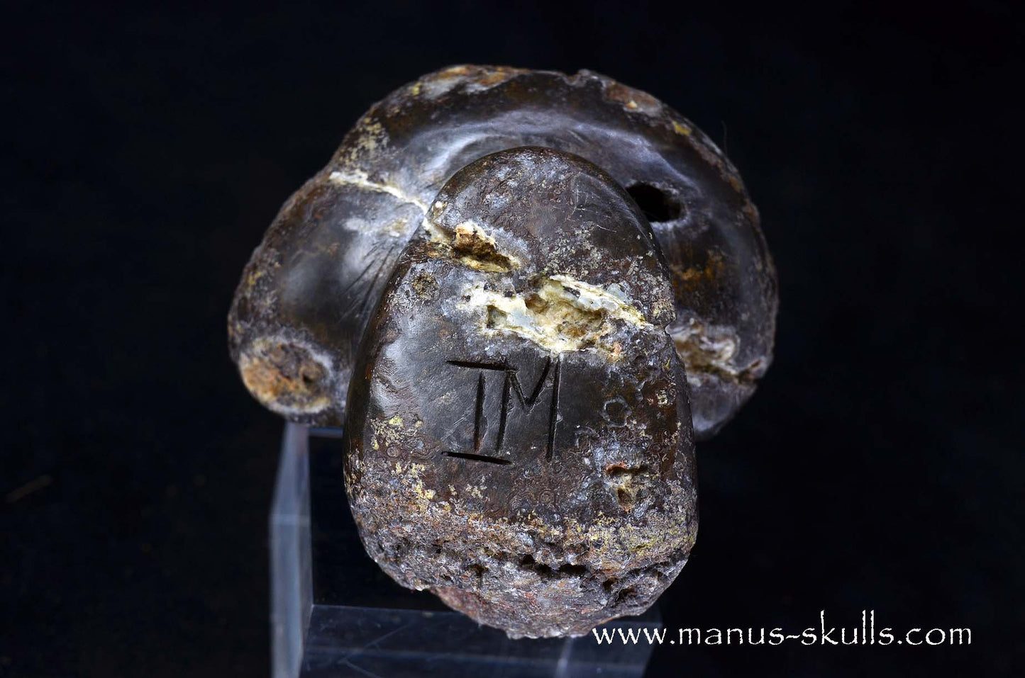 Agate Geode Evolian #09