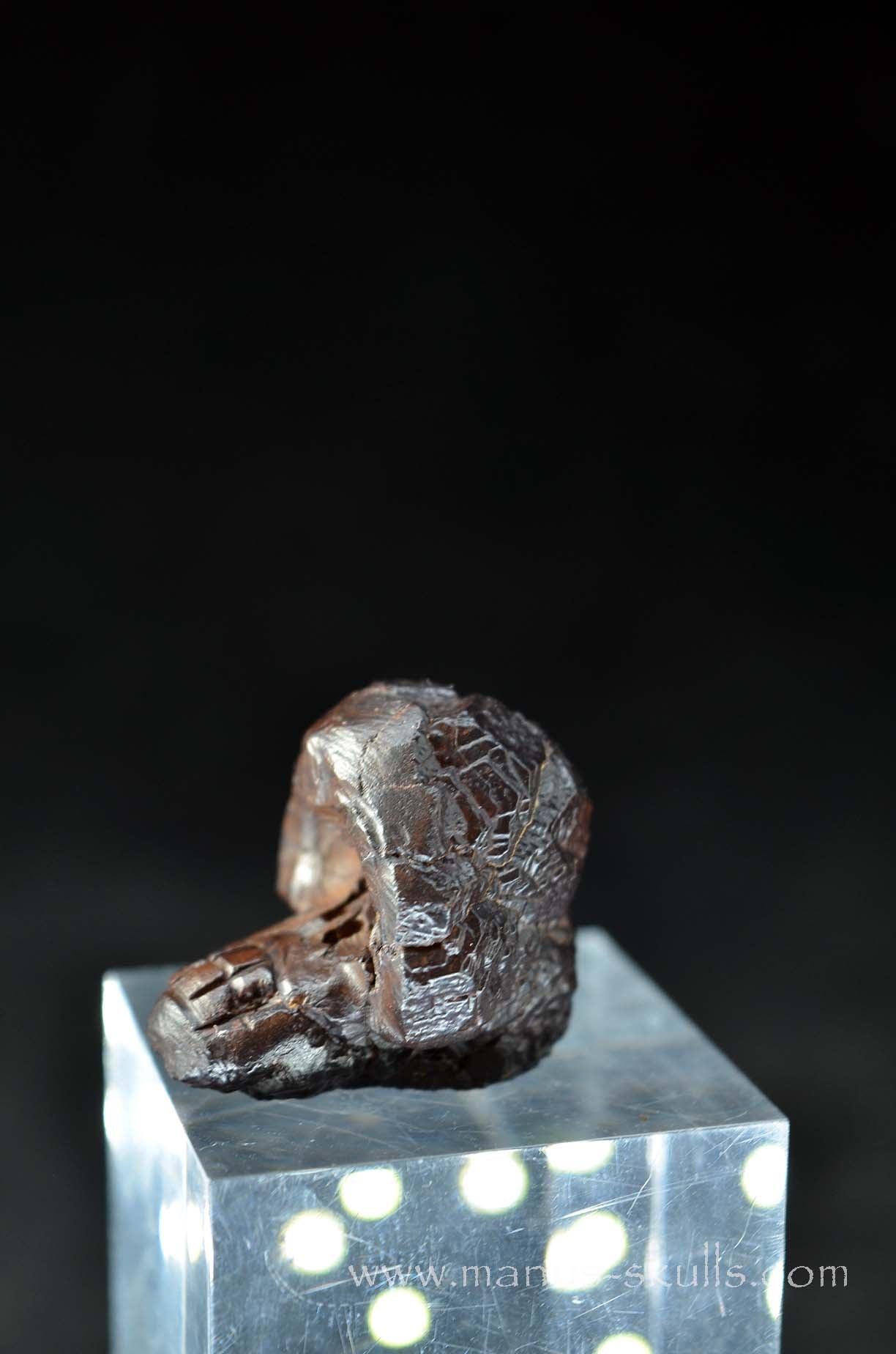 Prophecy Stone Evolian #03