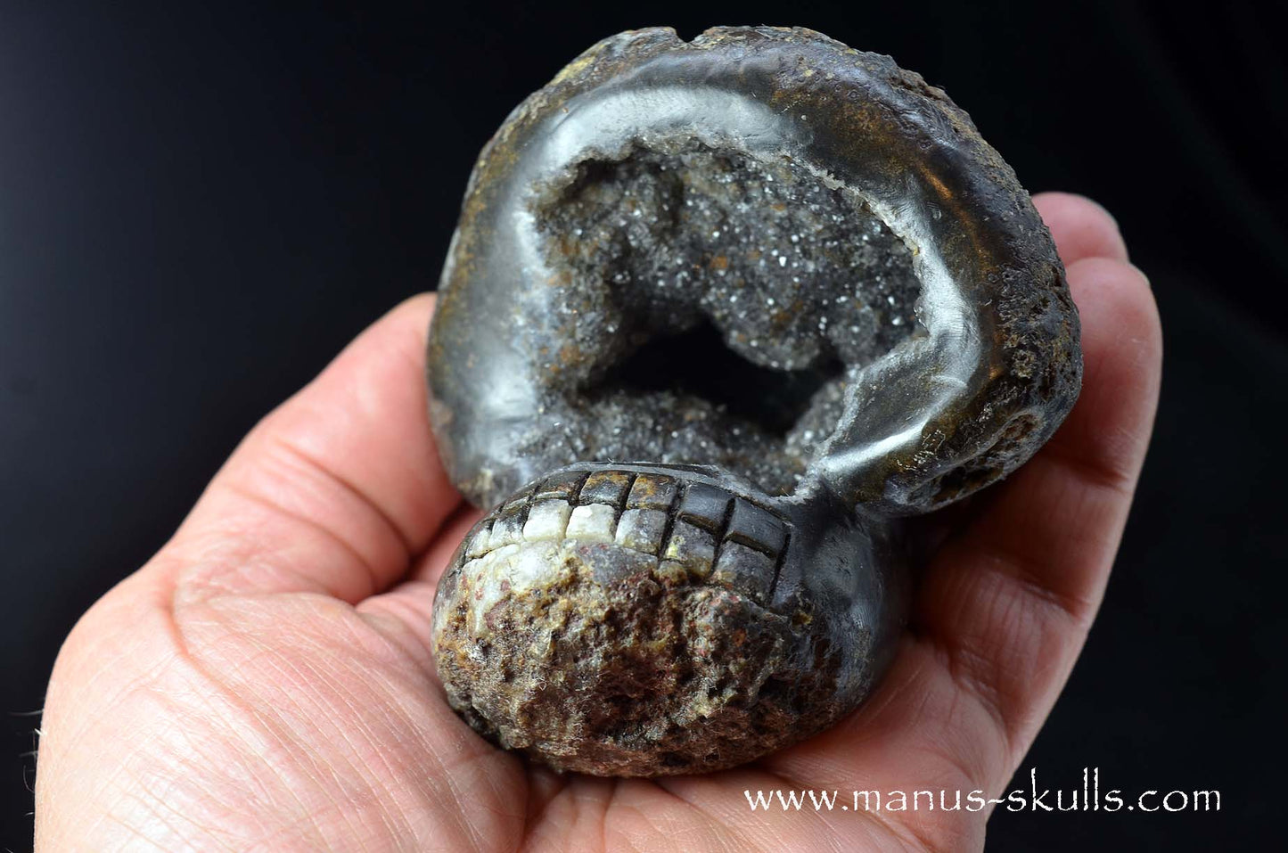 Agate Geode Evolian #09