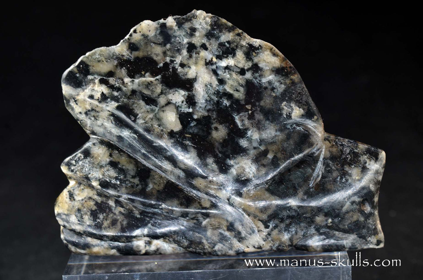 Rare Greenland Sodalite ~ Hackmanite Dragon