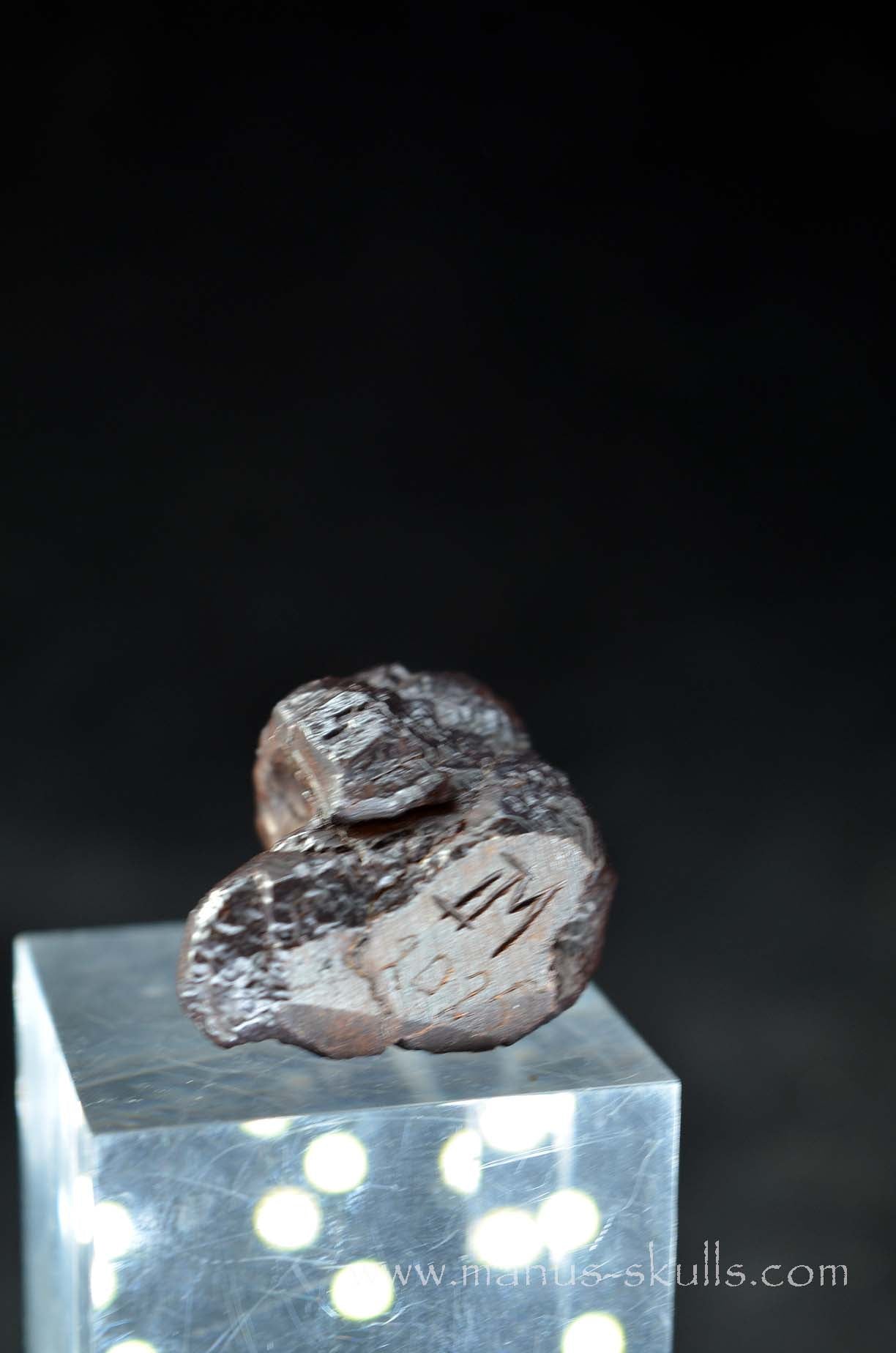 Prophecy Stone Evolian #03