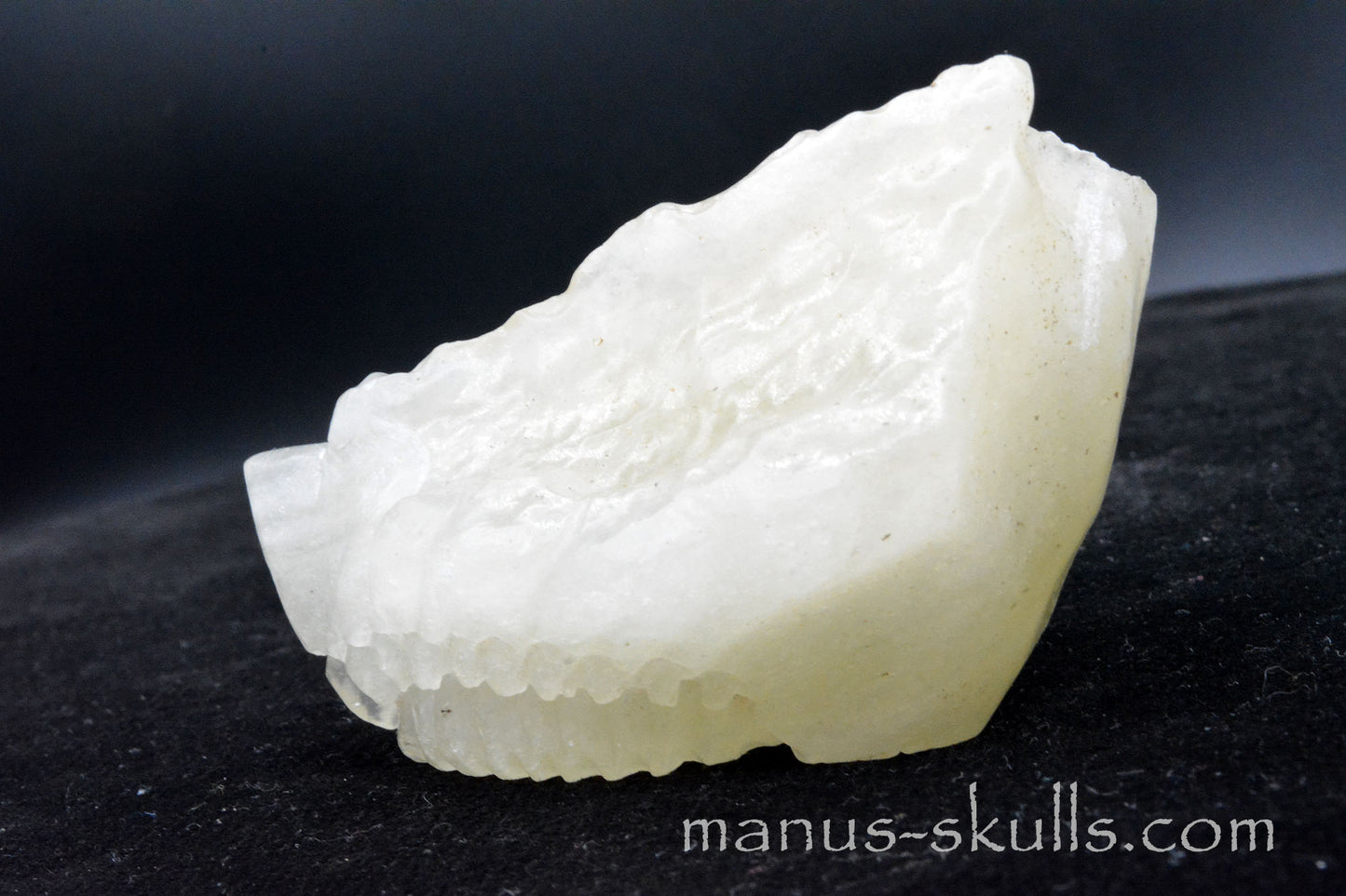 Libyan Desert Glass Dragon