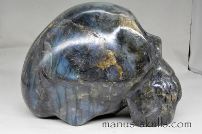 Large Labradorite Skull (9,3 KG)