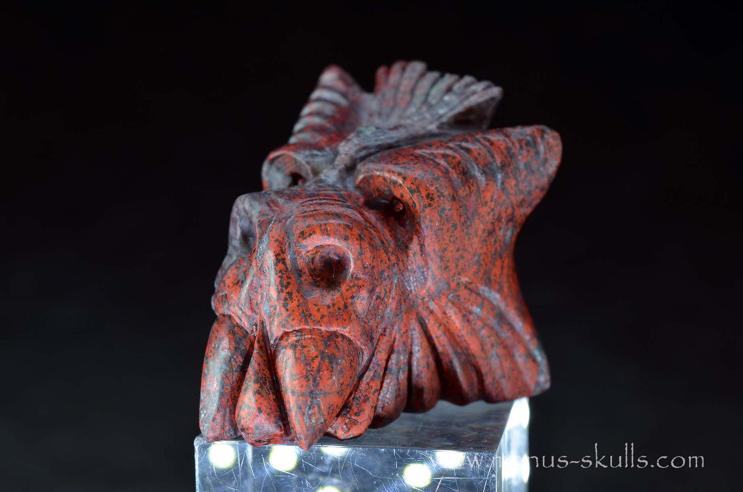 Cute Sonora Sunrise Baby Dragon