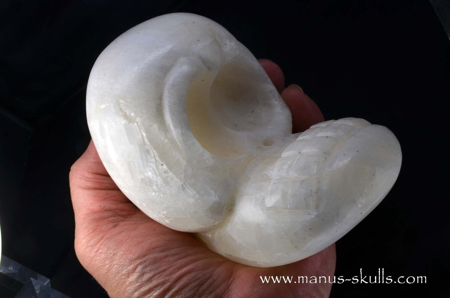 White Calcite Evolian Skull  #03