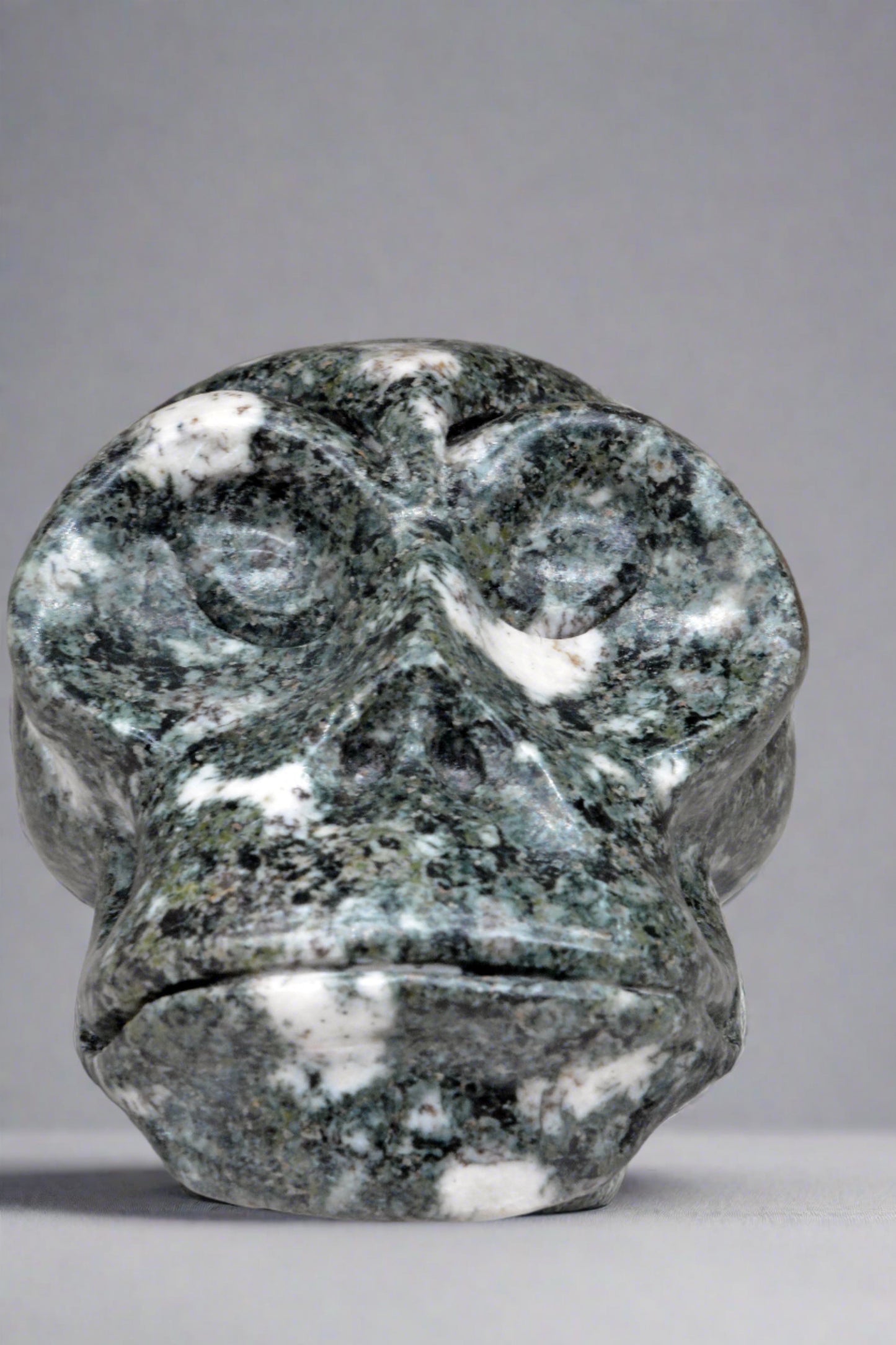 Toothless Preseli Bluestone Skull