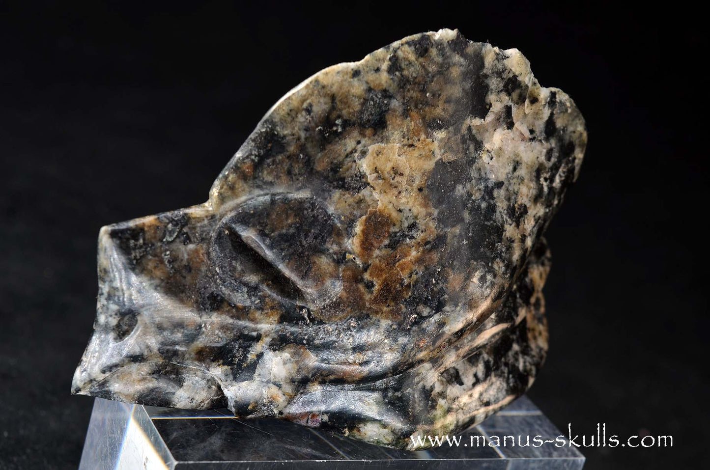 Rare Greenland Sodalite ~ Hackmanite Dragon