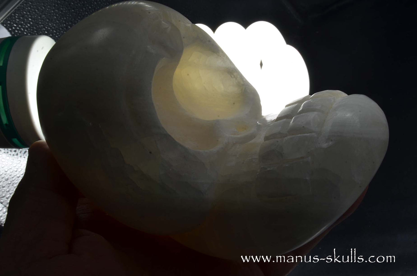 White Calcite Evolian Skull  #03
