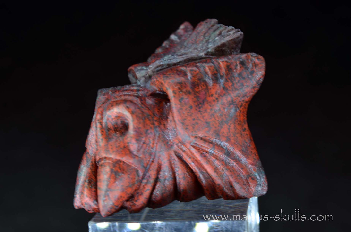 Cute Sonora Sunrise Baby Dragon