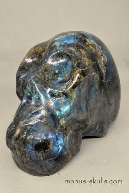 Large Labradorite Skull (9,3 KG)