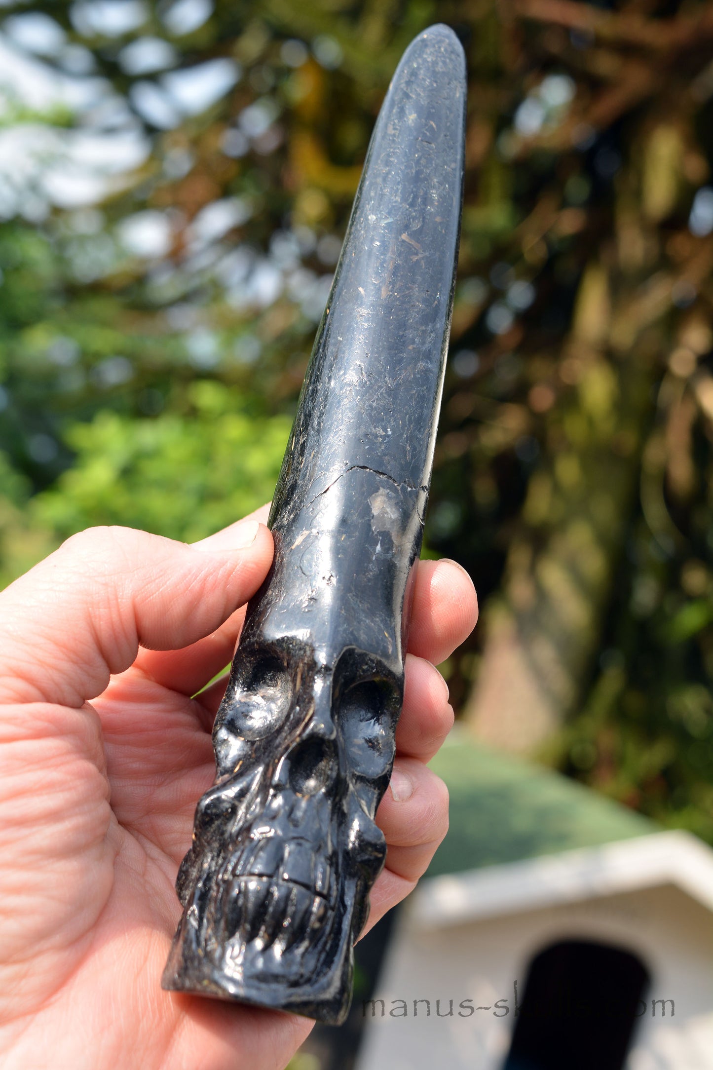 Nuummite Conehead Merlin Wand Skull .....