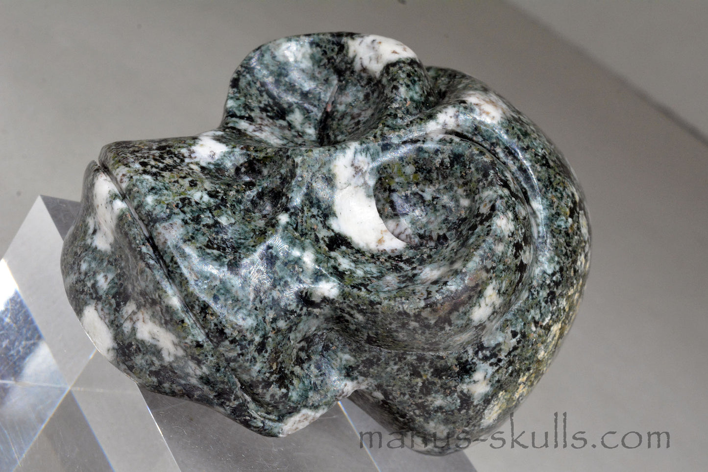 Toothless Preseli Bluestone Skull