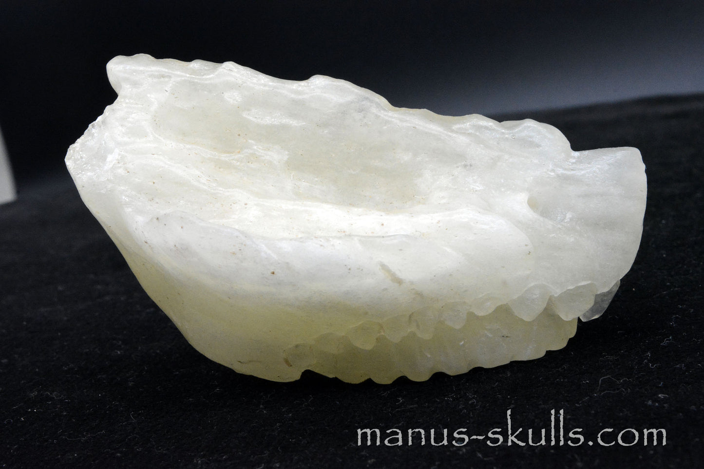 Libyan Desert Glass Dragon