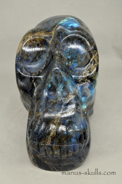 Large Labradorite Skull (9,3 KG)