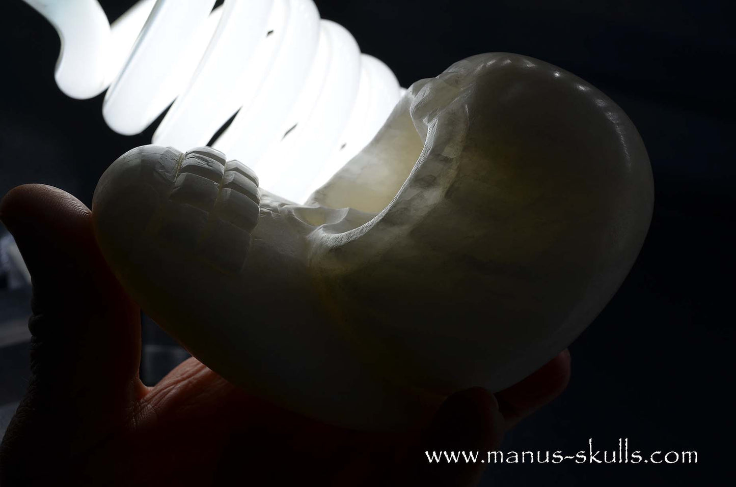White Calcite Evolian Skull  #03
