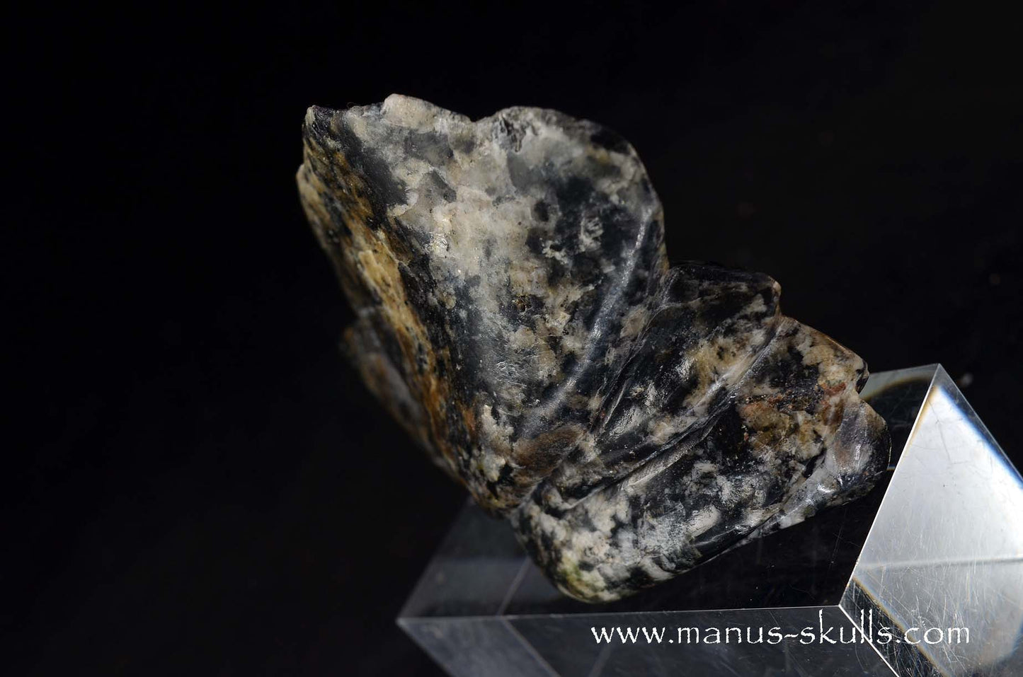 Rare Greenland Sodalite ~ Hackmanite Dragon