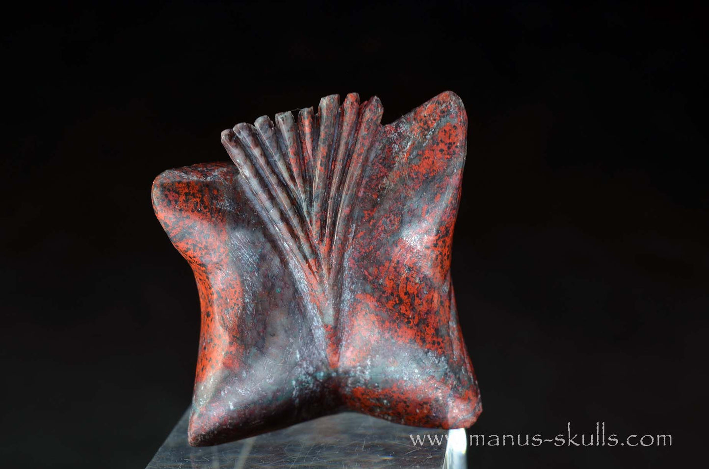 Cute Sonora Sunrise Baby Dragon