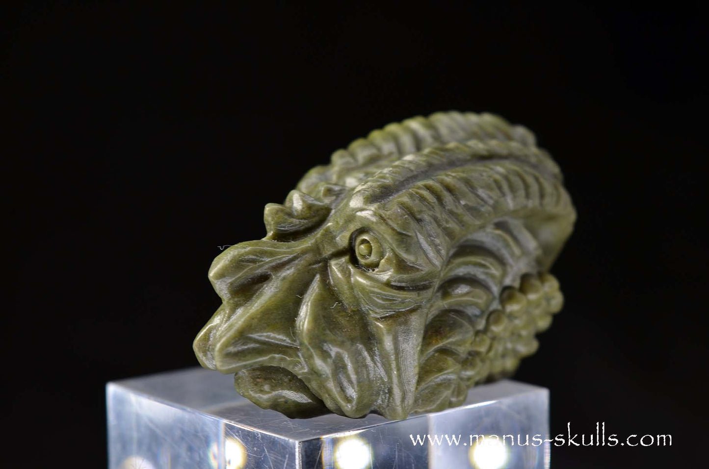 Detailed Greenlandite Dragon