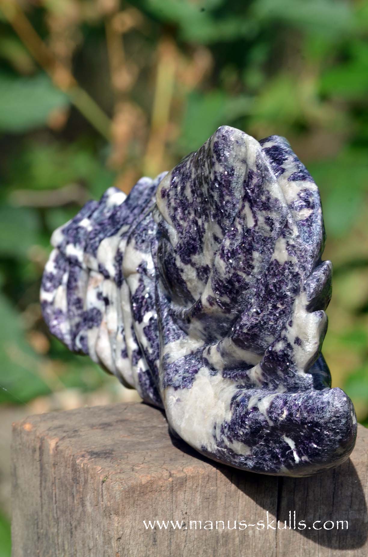 Huge LEPIDOLITE Dragon ...