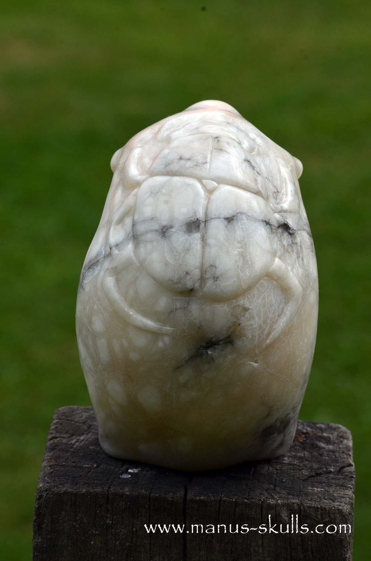 Alabaster Skull with carved Scarab Beetle ....