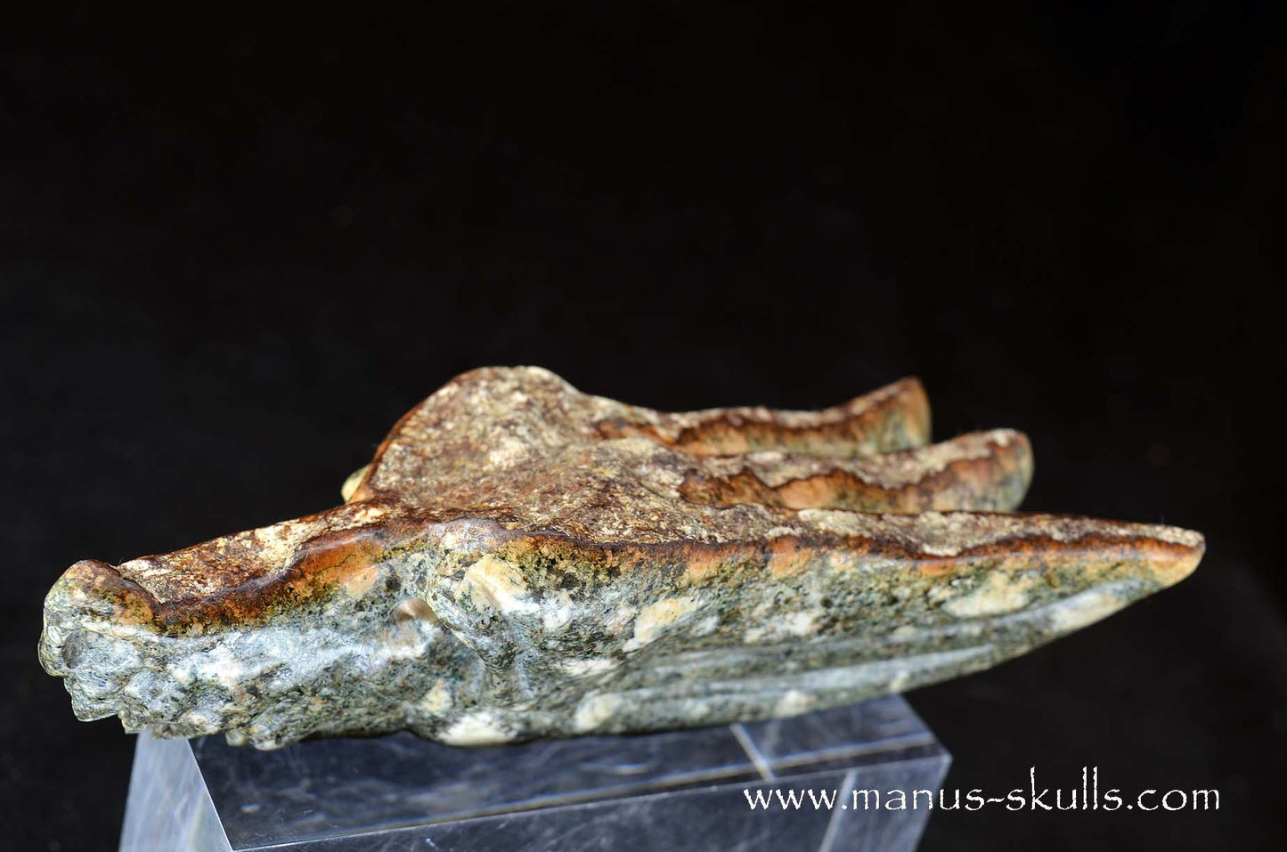 Preseli Bluestone Dragon