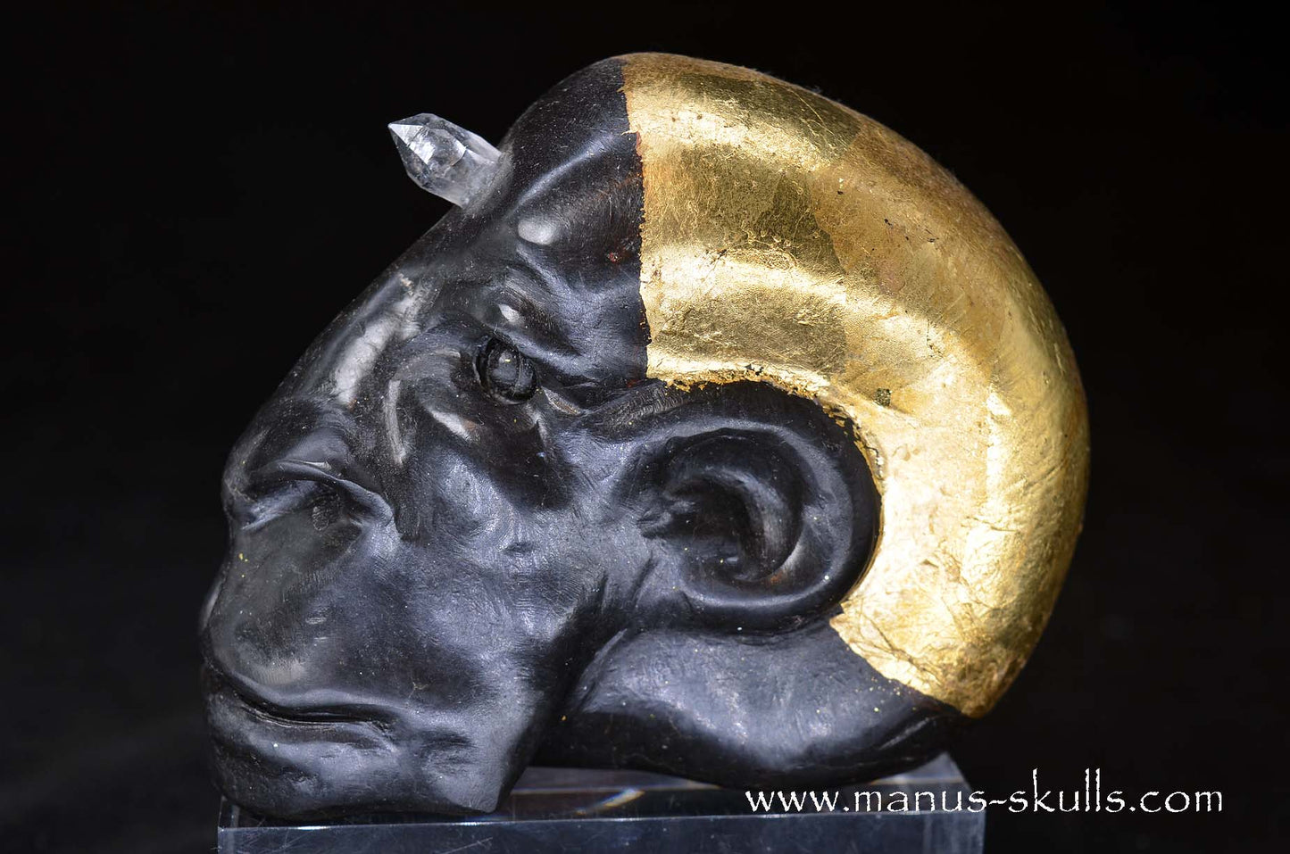 Star Light Being Skull  ("Nokh")