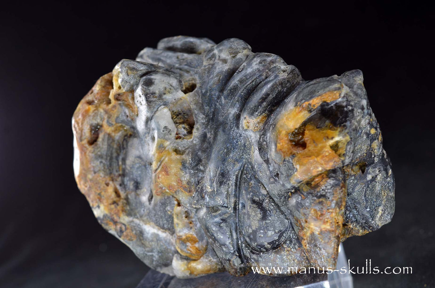 Rare MARCASITE ~ Pyrite Dragon