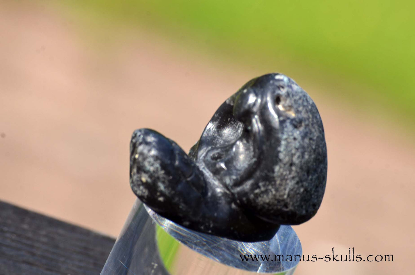 Agni Manitite Evolian #01