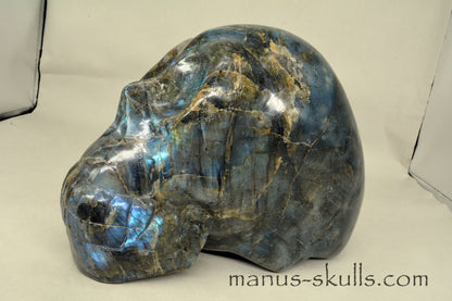 Large Labradorite Skull (9,3 KG)