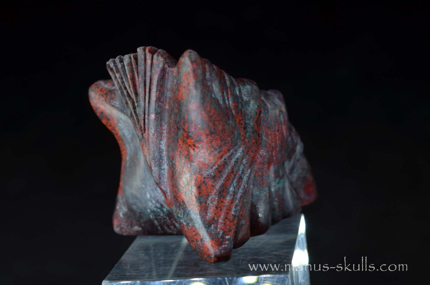 Cute Sonora Sunrise Baby Dragon