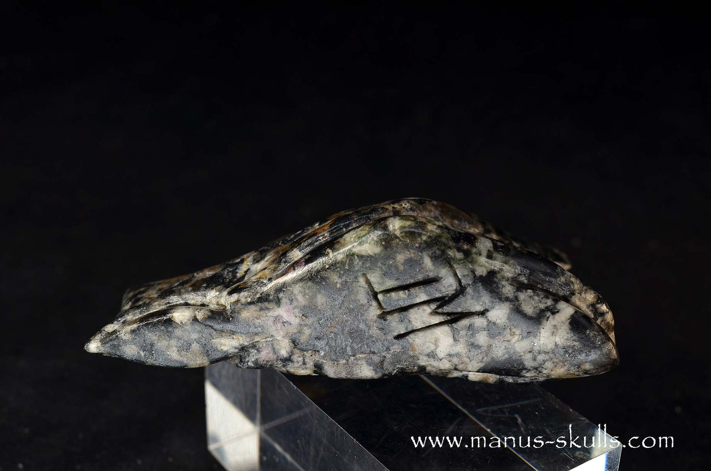 Rare Greenland Sodalite ~ Hackmanite Dragon