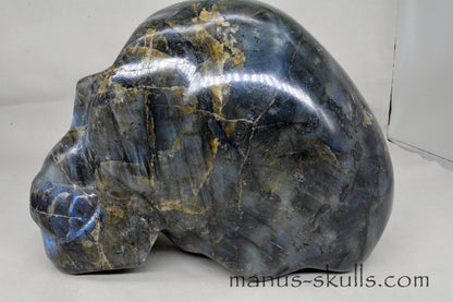 Large Labradorite Skull (9,3 KG)