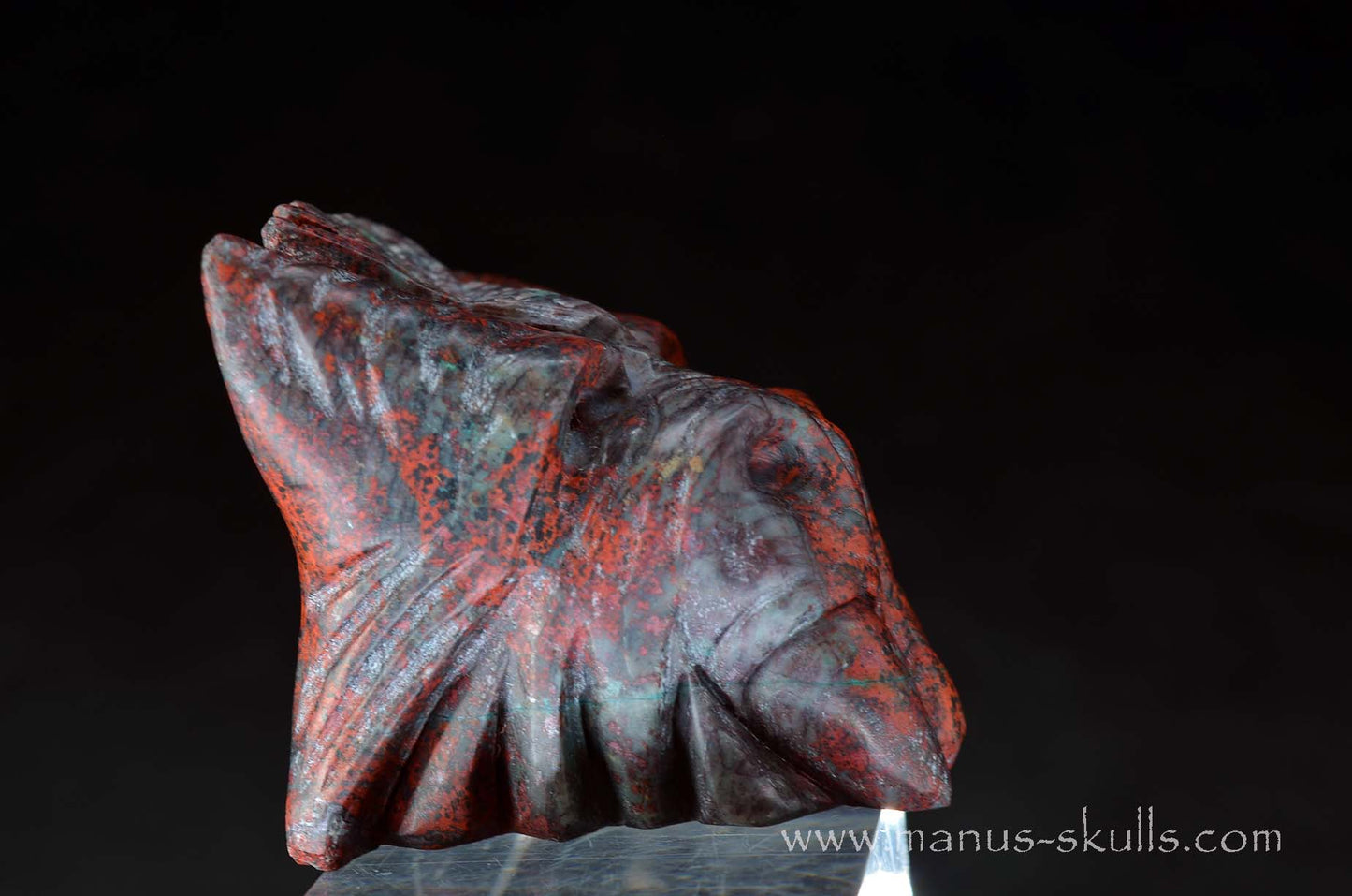 Cute Sonora Sunrise Baby Dragon